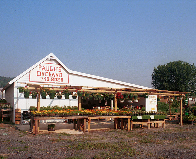 Paugh's Fruit & Flower Stand